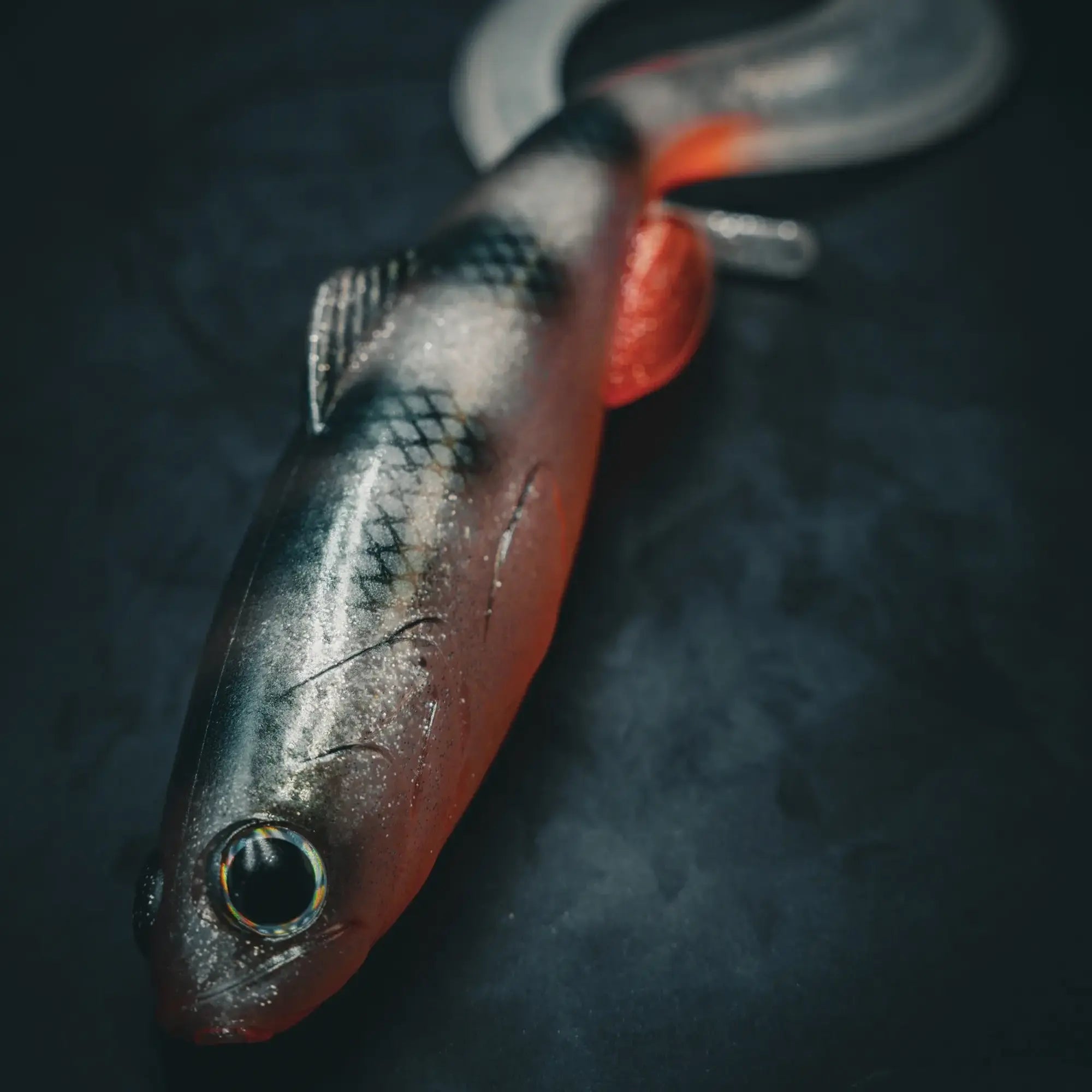 Vex Curl 22cm Ghost Perch