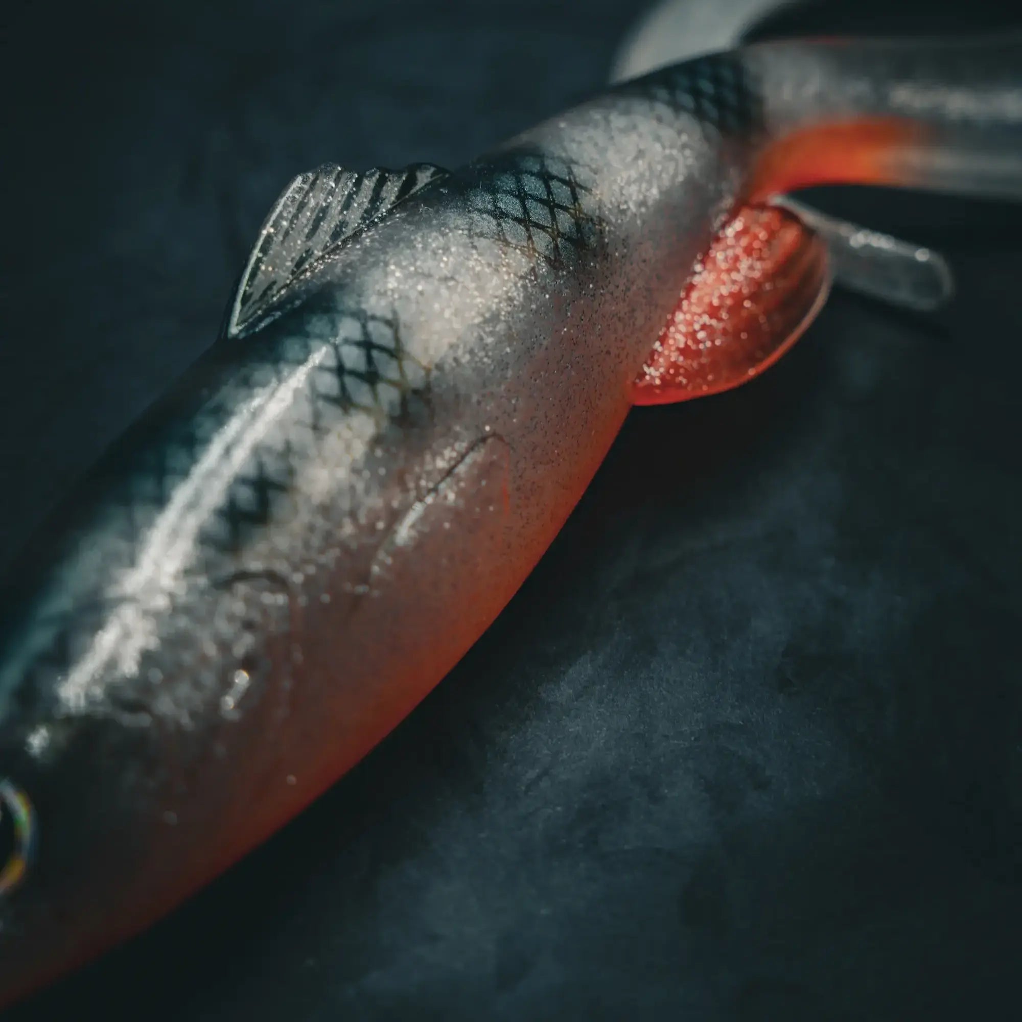 Vex Curl 22cm Ghost Perch